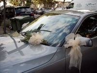 Decorazioni Auto Decorazioni Auto