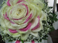 img_5117 img_5117