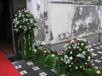 img_5297 img_5297