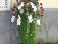 img_5832 img_5832
