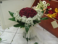 img_4820 img_4820