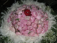 img_5269 img_5269