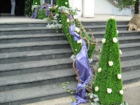 img_5291 img_5291