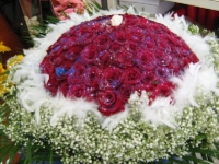 img_5133 img_5133